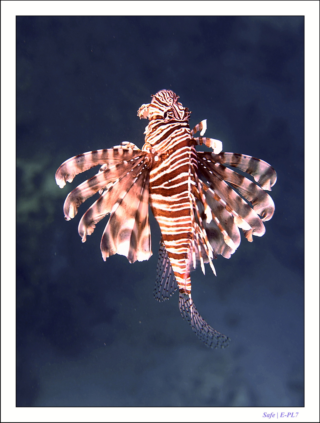 2023 - 03 - Charm El Sheikh - 06